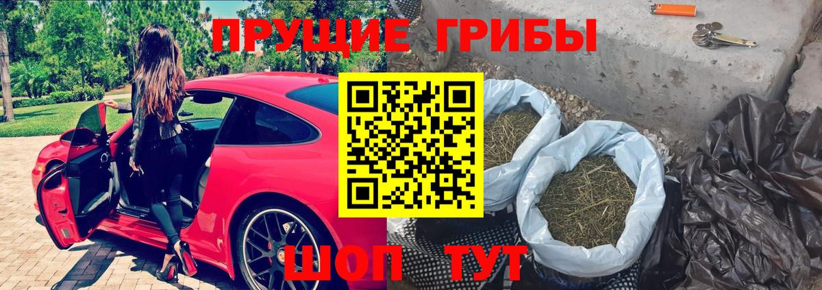 Галлюциногенные грибы GOLDEN TEACHER Кудрово