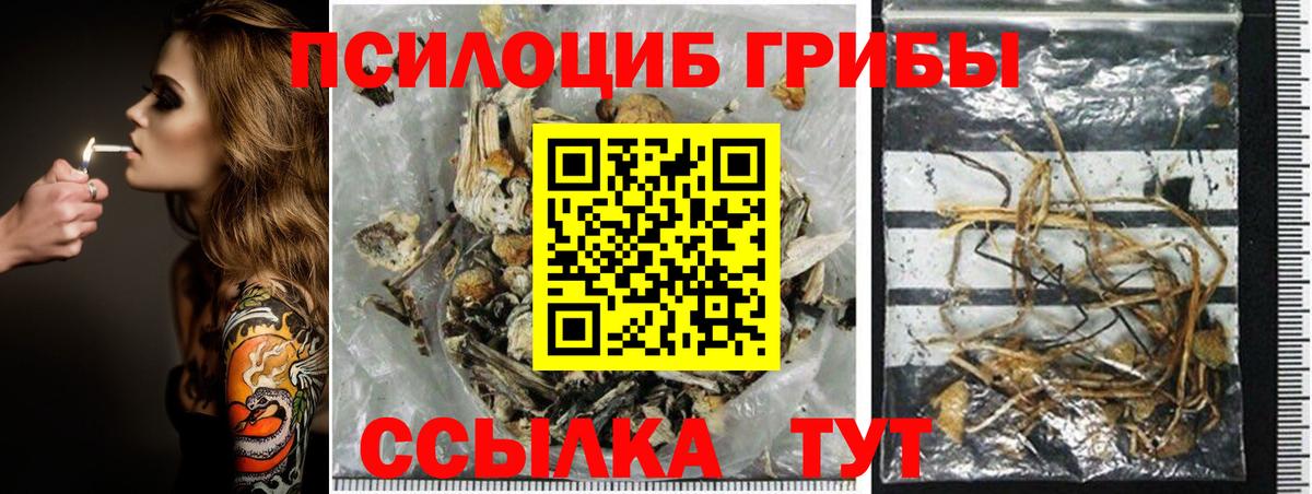 Галлюциногенные грибы MAGIC MUSHROOMS  Вход с VPN  где купить наркоту  Псилоцибиновые грибы Cubensis  Кудрово 