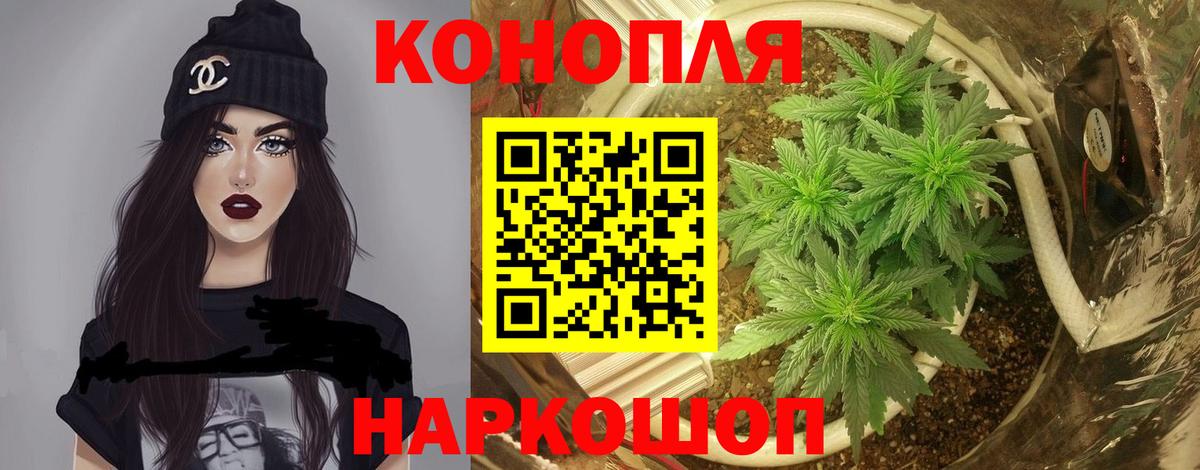 Бошки Шишки тримм  Каннабис план  Кудрово  Канабис марихуана  Вход с VPN  МАРИХУАНА SATIVA & INDICA 